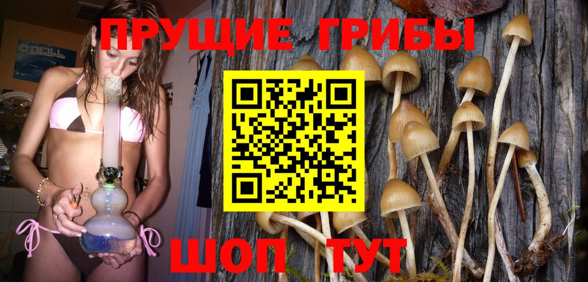 Псилоцибиновые грибы прущие грибы  Вход с VPN  Городец 